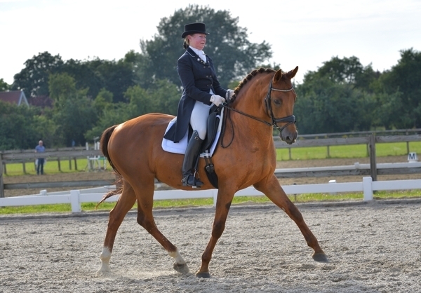 draf_Beuningen_2016_3_.jpg
