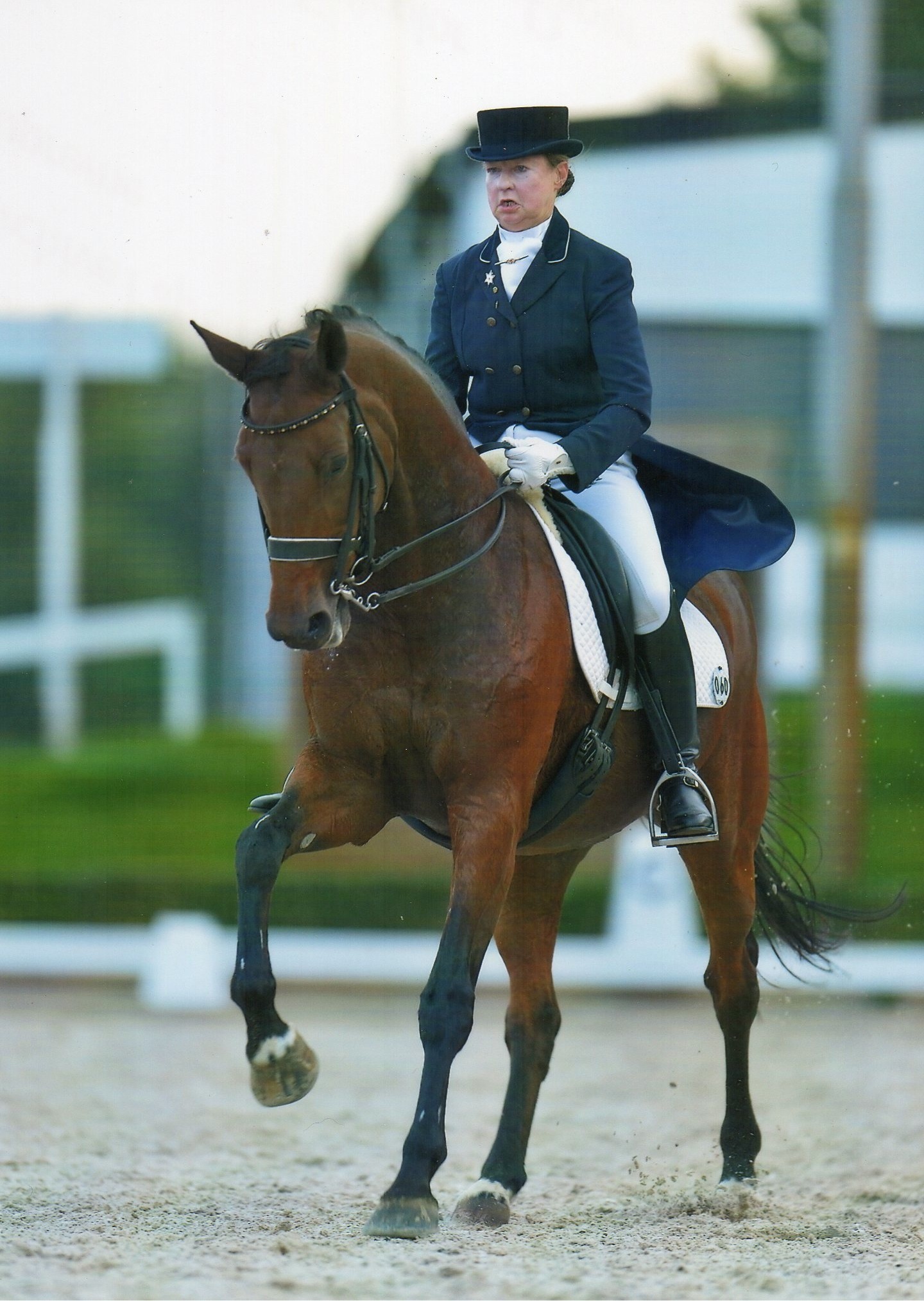 E_Uitgestrekte_galop_Grand_prix.jpg E_Uitgestrekte_galop_Grand_prix.jpg