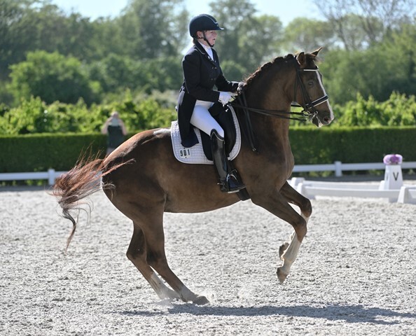 AA_260501__pirouette_rechts_2368_1_.JPG