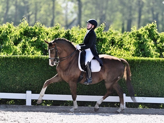 AA_260501_draf_korte_zijde_2328_1_.JPG