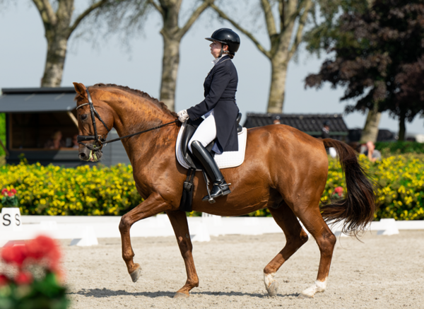 Doreen_Proos._Grand_Prix_piaffe_Umpire_09_2023_2_.png