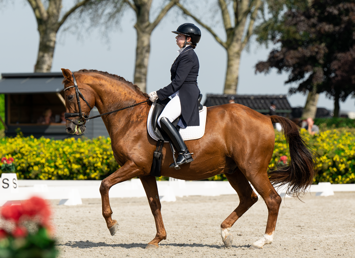 Doreen_Proos._Grand_Prix_piaffe_Umpire_09_2023_2_.png