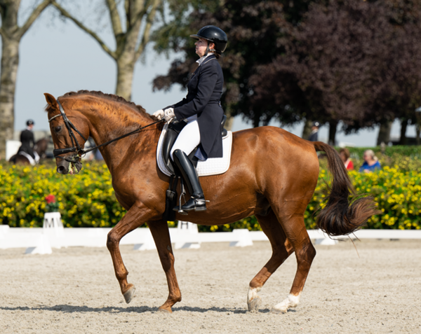 Doreen_Proos._Grand_Prix_piaffe_Umpire_09_2023_3_.png